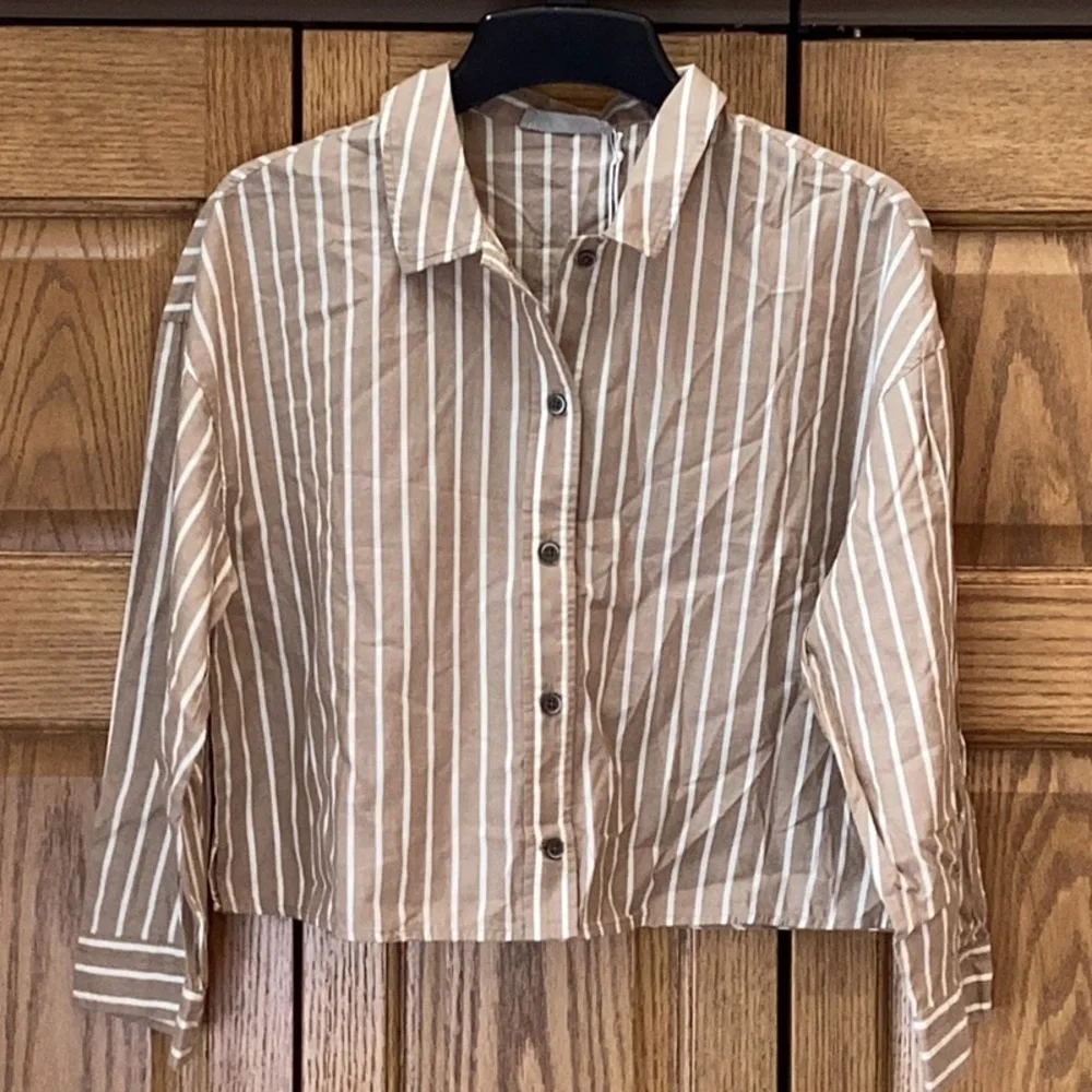 Everlane body cotton